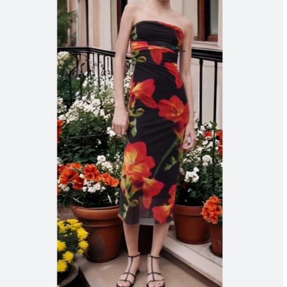 🆕️ Zara Floral Tulle Dress - Picture 2 of 3